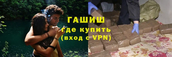 шишки Арсеньев