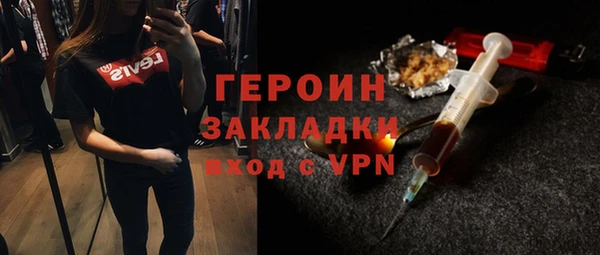 шишки Арсеньев