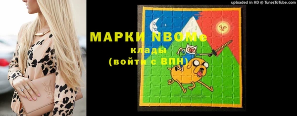 шишки Арсеньев