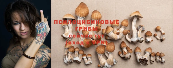 шишки Арсеньев