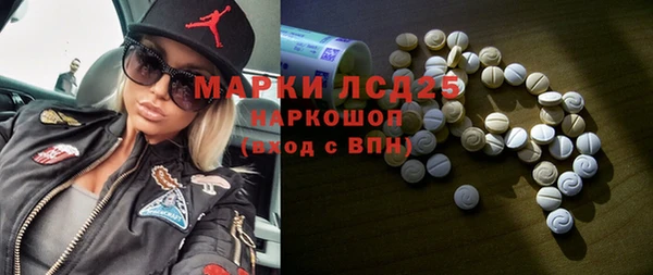 шишки Арсеньев