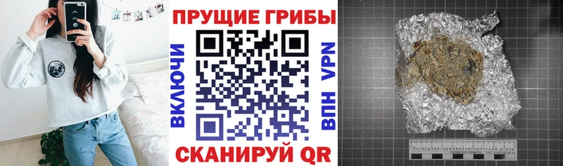 Галлюциногенные грибы MAGIC MUSHROOMS Злынка